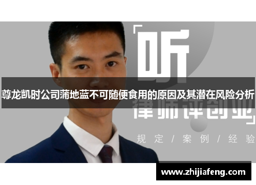 尊龙凯时公司蒲地蓝不可随便食用的原因及其潜在风险分析