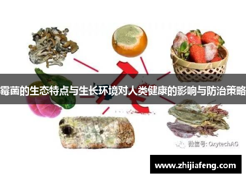 霉菌的生态特点与生长环境对人类健康的影响与防治策略