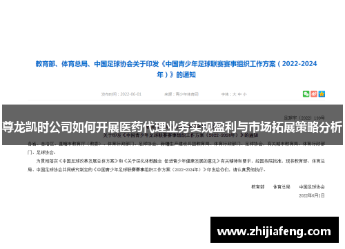 尊龙凯时公司如何开展医药代理业务实现盈利与市场拓展策略分析